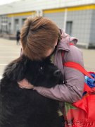 Превью фото № 223637