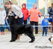 Превью фото № 223653