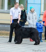 Превью фото № 223656