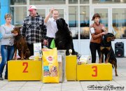 Превью фото № 223658