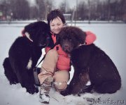 Превью фото № 223700