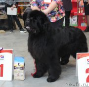 Превью фото № 223764