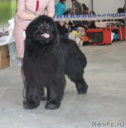 Превью фото № 223765