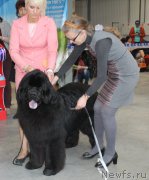 Превью фото № 223795