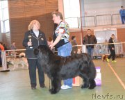 Превью фото № 223841