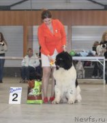 Превью фото № 223867