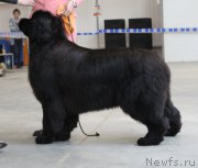 Превью фото № 223868