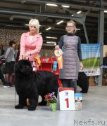 Превью фото № 223869