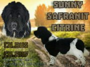 Превью фото № 223873