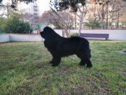 Превью фото № 223894