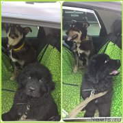 Превью фото № 223896