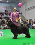 Превью фото № 223912