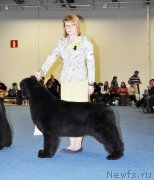 Превью фото № 223913