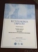 Превью фото № 223915