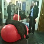 Превью фото № 223924