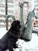 Превью фото № 223928