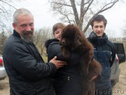 Превью фото № 223952