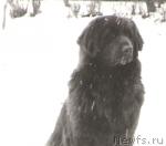 Превью фото № 224