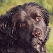 Превью фото № 224018