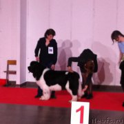 Превью фото № 224033