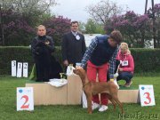 Превью фото № 224054