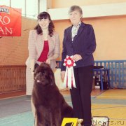 Превью фото № 224063