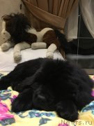 Превью фото № 224098