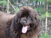 Превью фото № 224175