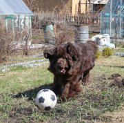 Превью фото № 224183