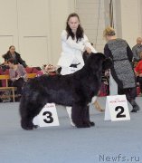 Превью фото № 224231