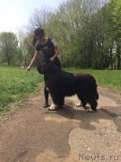 Превью фото № 224246