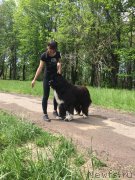 Превью фото № 224247