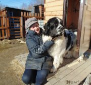 Превью фото № 224273