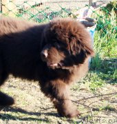 Превью фото № 224387