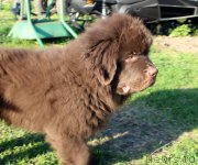 Превью фото № 224388