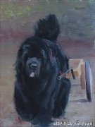 Превью фото № 224464