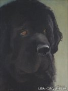 Превью фото № 224468