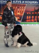 Превью фото № 224507