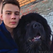 Превью фото № 224524