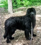 Превью фото № 224539