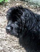 Превью фото № 224540