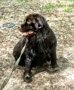 Превью фото № 224542