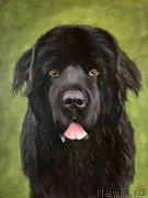 Превью фото № 224561