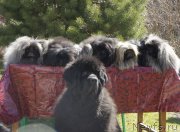 Превью фото № 224573