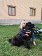 Превью фото № 224589