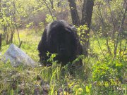 Превью фото № 224629