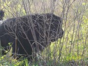 Превью фото № 224631