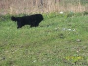 Превью фото № 224632