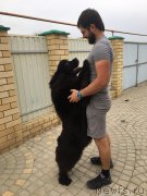 Превью фото № 224665