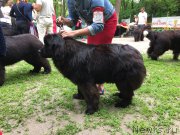 Превью фото № 224669